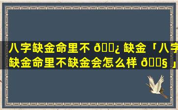 八字缺金命里不 🌿 缺金「八字缺金命里不缺金会怎么样 🐧 」